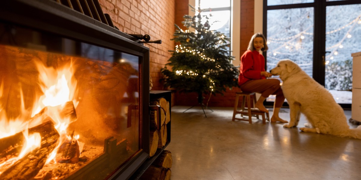 Where Will Bioethanol Fireplace Be One Year From In The Near Future?