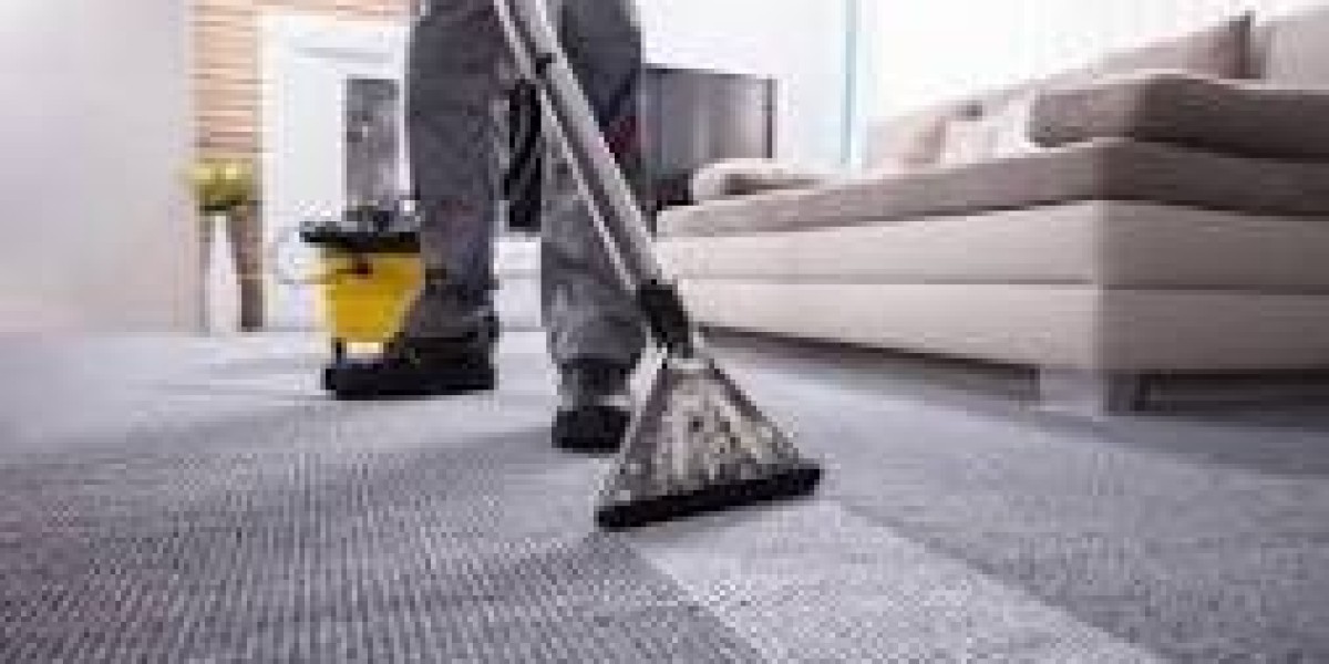 Professional Carpet Cleaning: Creating a Visually Pleasing Living Space