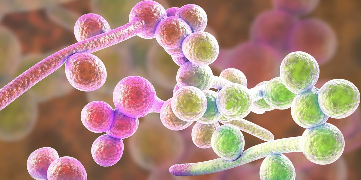 Everyday habits that trigger yeast infections