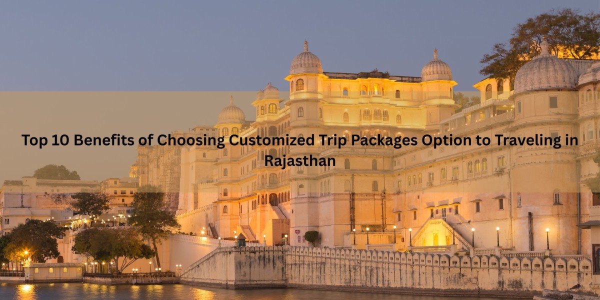 Top 10 Benefits of Choosing Customized Trip Packages Option to Traveling in Rajasthan