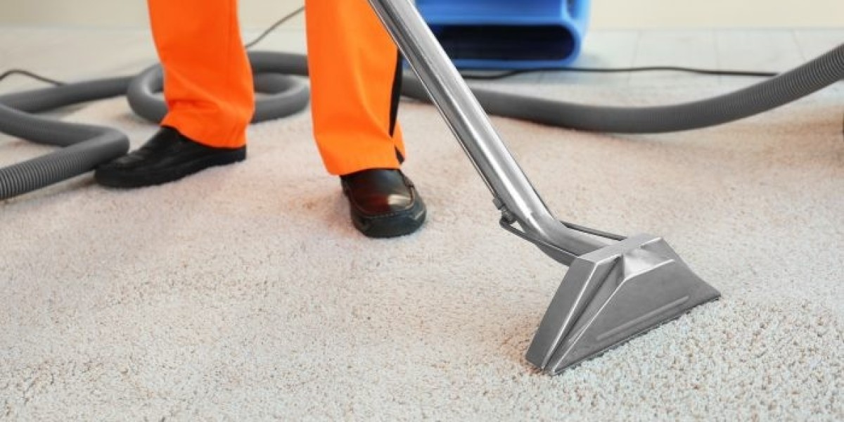 Carpet Cleaning Services That Use Gentle Solutions