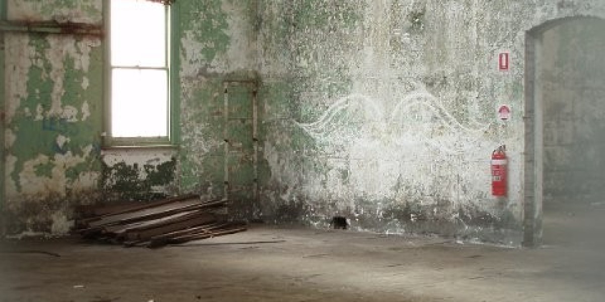 Cashman Casino Review: A Vibrant Online Gaming Experience