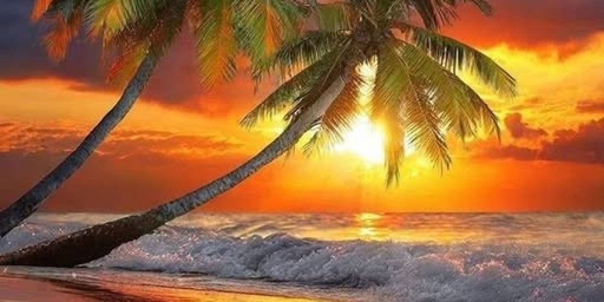 Seahawks Predicted to Add Championship Playmaker to Replace $29 Million Celebrity