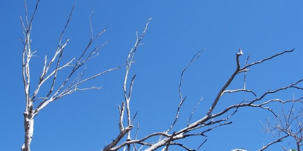 Online Fun, Real Money, All in One Safe Place