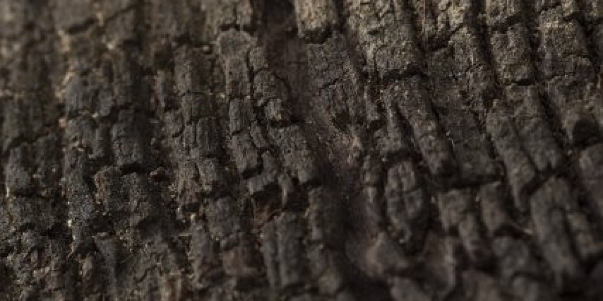 Casinos Shangrila Casino Kyiv