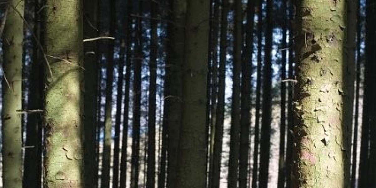 Best Online Casinos Australia 2025: Top 10 Aussie Casino Sites