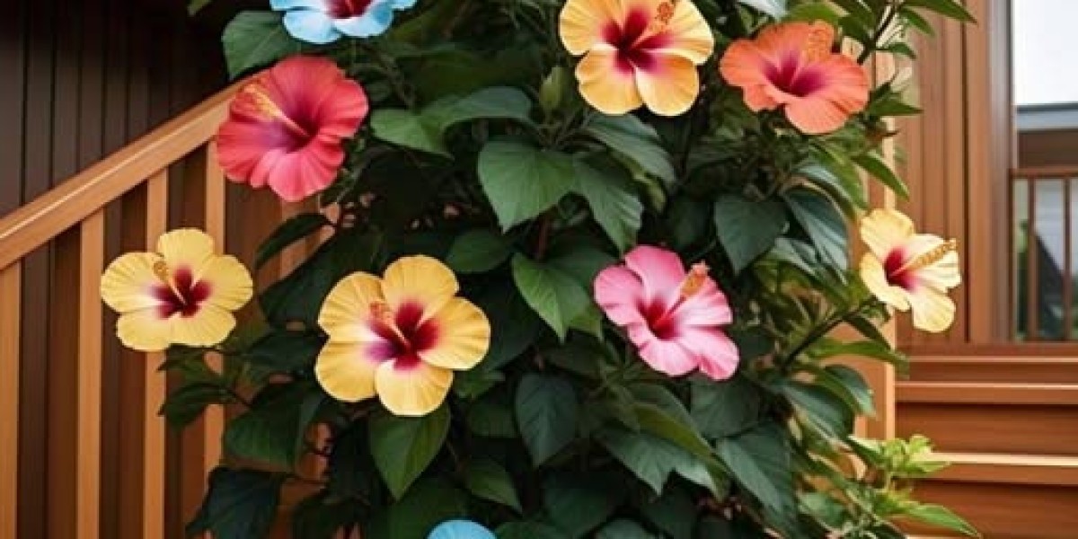 Toronto Maple Leafs Host 1st-At any time Leafs Gaming Working day