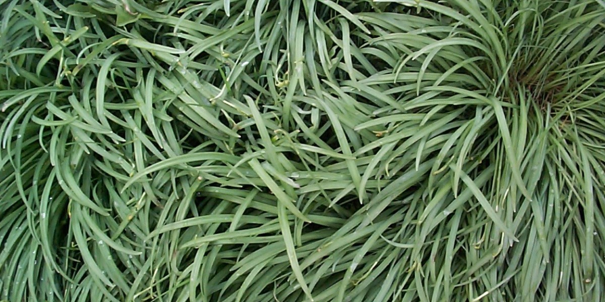 7Bit Casino Crypto Play, Fast Payouts, VIP Perks