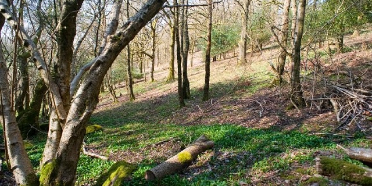 Star Entertainment receives last-minute $250 million offer from US casino giant Bally's