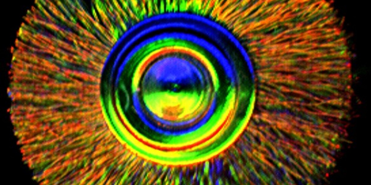 Meet the People Behind the Play