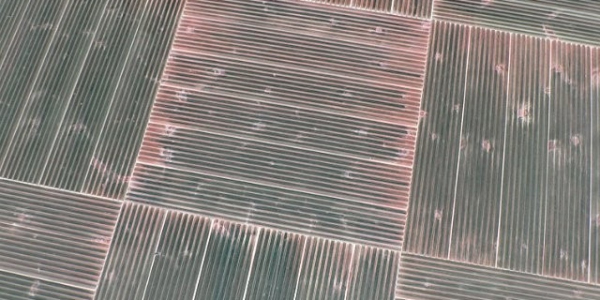 Rocket Play Casino Australia Login And Bonuses