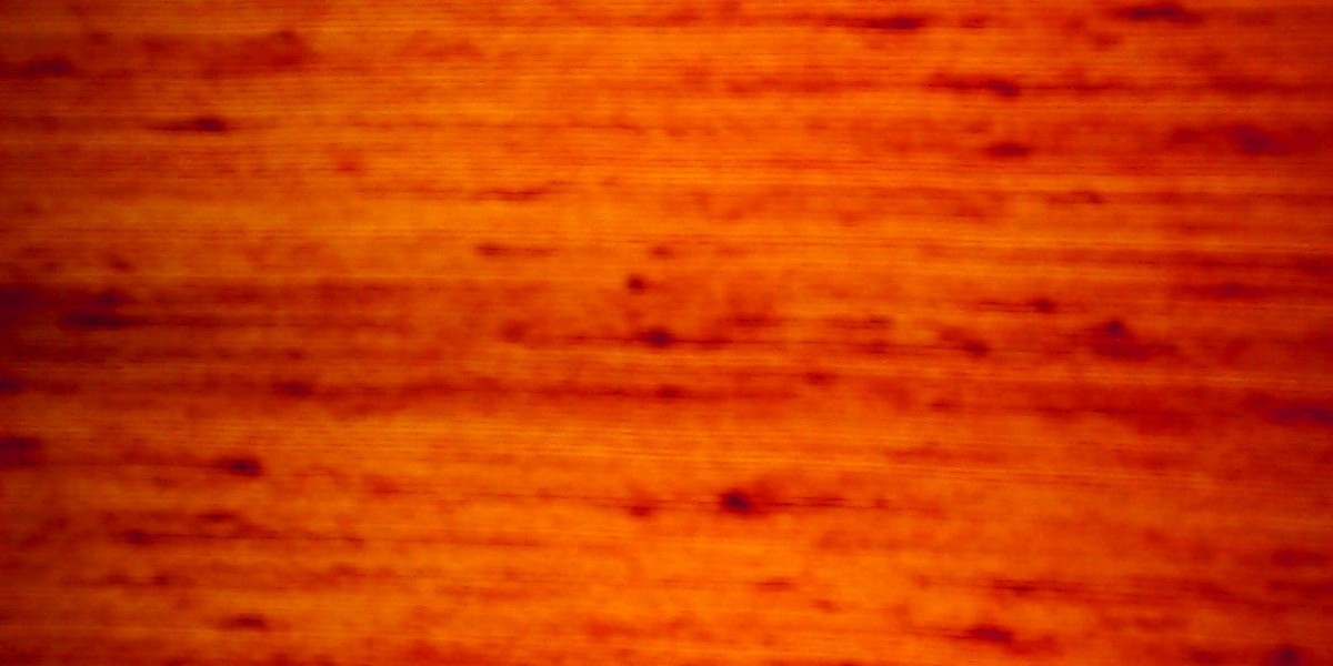 Play Croco Casino Review, Playcroco No Deposit Bonus Codes