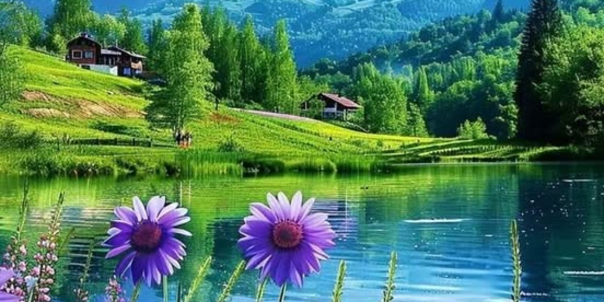 This Day in Braves Background: Braves indication Gaylord Perry