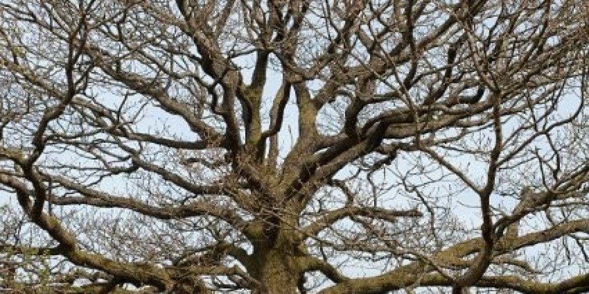 10 New Online Casinos that Pay Real Money 2025