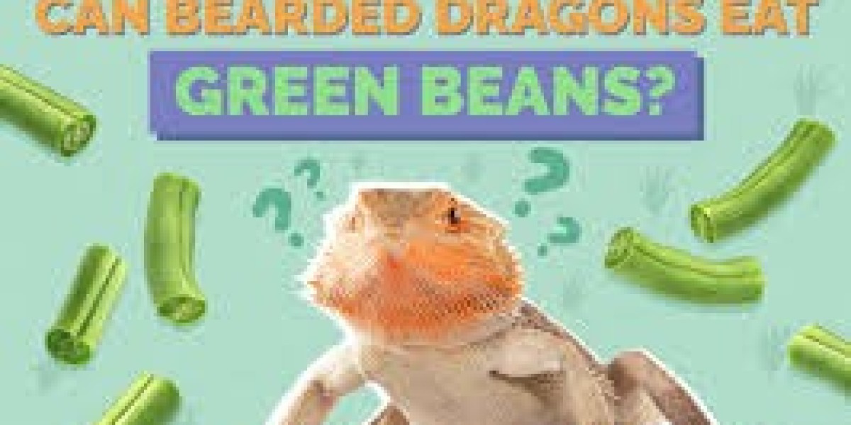 How to Safely Offer Green Beans to Bearded Dragons
