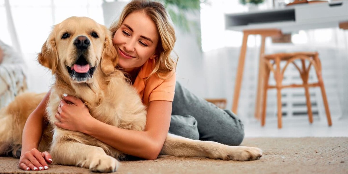 NativeGut: Support Your Digestive System and Overall Wellness Naturally