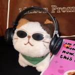 Anselm rosseti Profile Picture