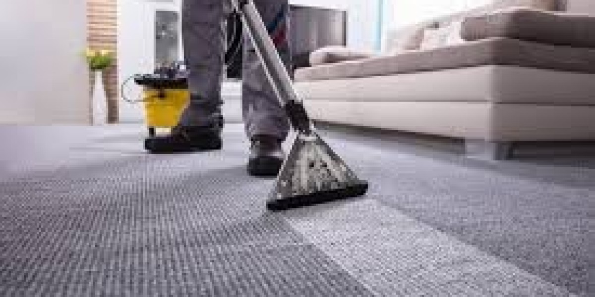 Carpet Cleaning Services for Homes With High Carpet Coverage