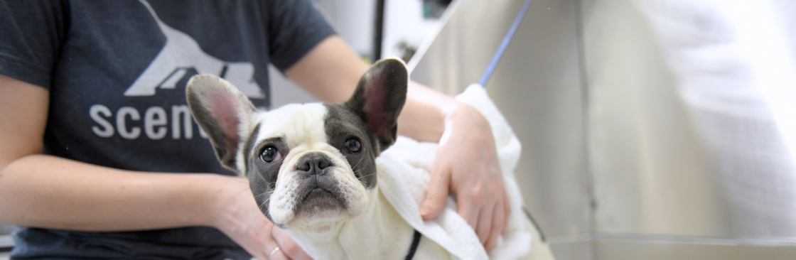 Scent Hound Apex Cover Image