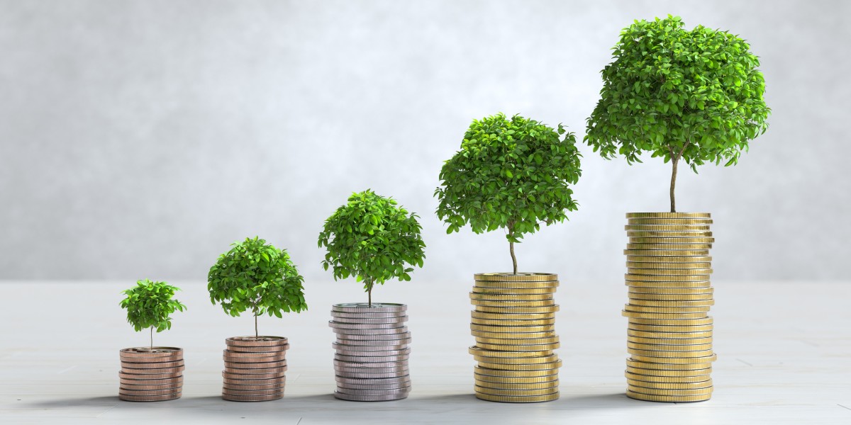 Why VAT Advisory Services Are Becoming Critical in the UAE Economy