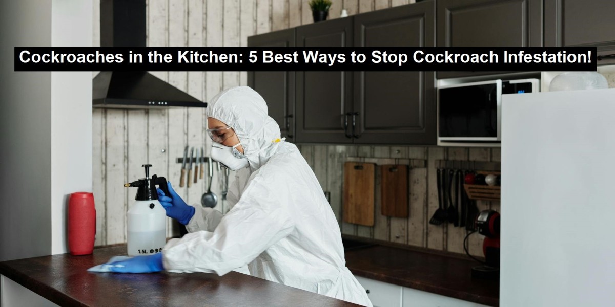 Is Your Home Hiding a Cockroach Problem? Here's How to Tell