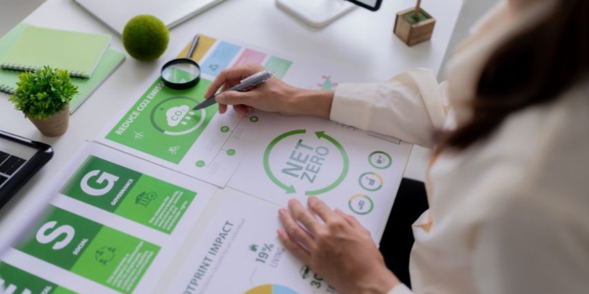 The Role of ESG Consultants in Organisational ESG Transformation