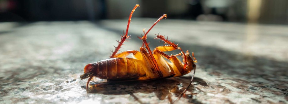 Century Pest Control Cover Image